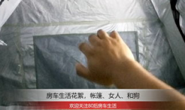 美女与狗交配视频,美女与狗的惊世交配之谜